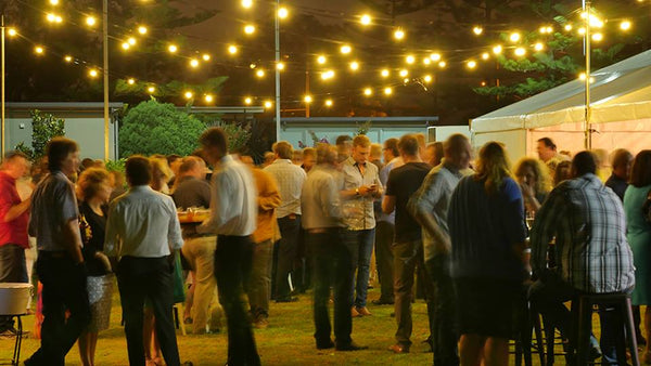 Festoon Lighting 20 metres